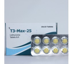 T3-Max-25
